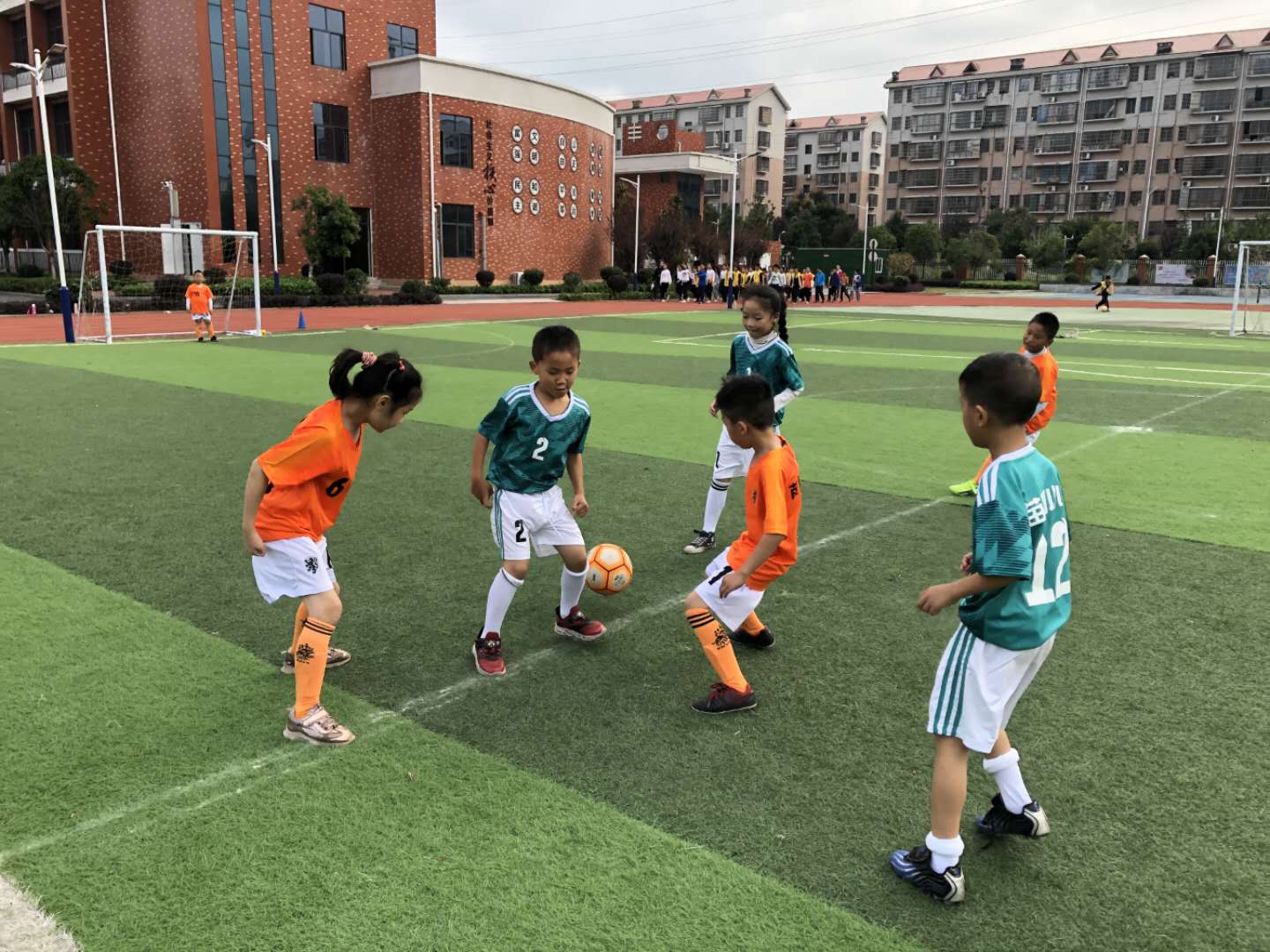 衡阳市珠晖区大力普及推广,从“一枝独秀”到“满天星” 七十年传承,校园足球在珠晖熠熠生辉
