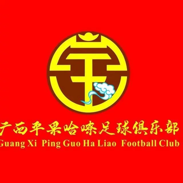 更名改队徽,全新广西平果俱乐部呼之欲出